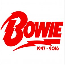 1 x David Bowie Design 1947-2016 in RED-Ziggy Stardust-Car,Van,Campervan Cut Vinyl WINDOW Sticker-Decal Sign-RIP Novelty Car Sticker Decal-Great Present Gift-Universal Fit